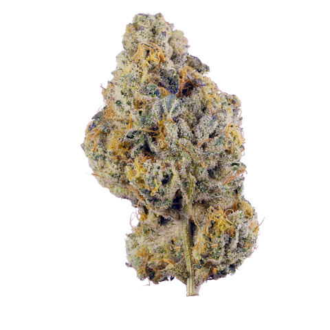 NATTY - WEDDING CAKE - BULK PLATINUM TIER BUD