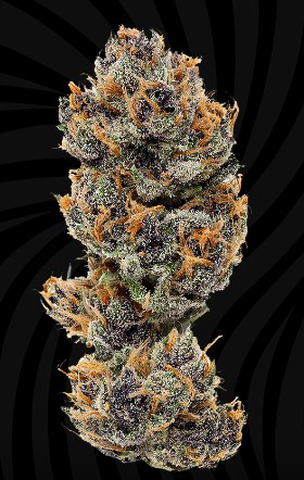 Super Lemon Haze Flower 3.5g