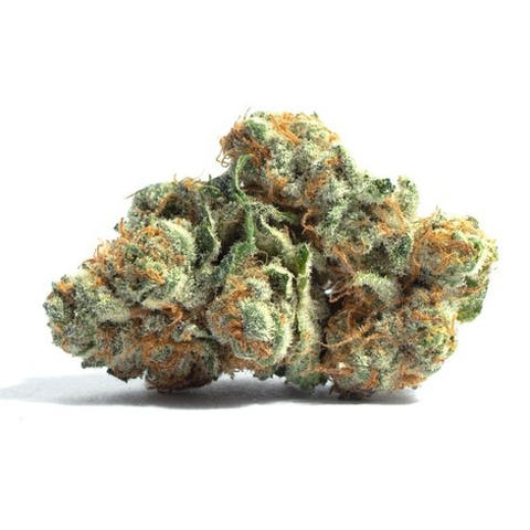 COSMOS - TALLY MAN - BULK GOLD TIER BUD