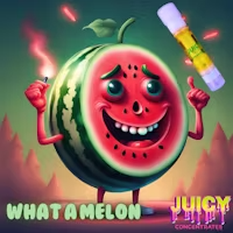 JUICY - 1g WHAT A MELON - DIST. CART