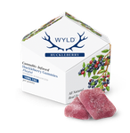 Wyld - Huckleberry - Hybrid Gummies (100mg)
