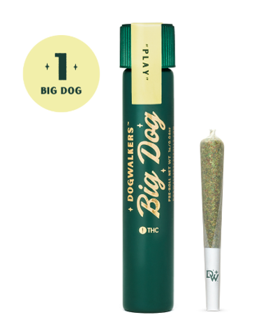 Dogwalkers - Tangerine Haze - 1g Pre Roll