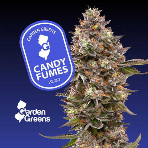 Garden Greens - Candy Fumes - Flower - 3.5g