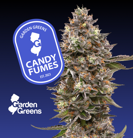 Garden Greens Flower 3.5g - Candy Fumes