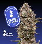 Garden Greens Flower 3.5g - Candy Fumes
