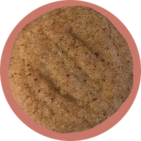 Baked - Snickerdoodles - 10 Pack