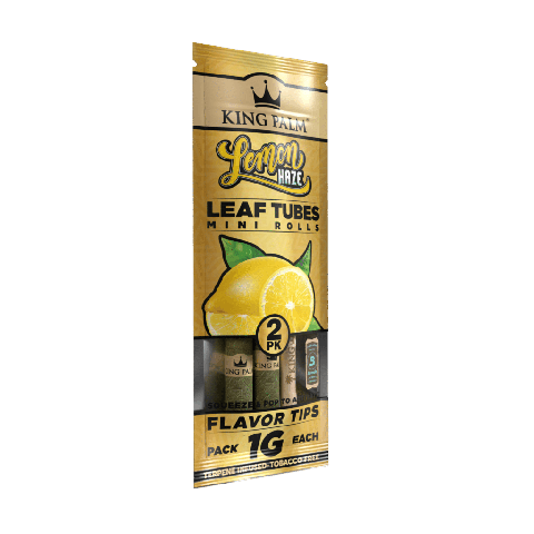 HMI - LEMON HAZE KING PALM - MINI CONES