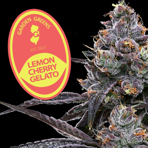 Pete's Farmstand - Lemon Cherry Gelato - 1g Pre Roll
