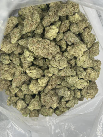 HAYLOW - SHERB CAKE - BULK PLATINUM TIER BUD