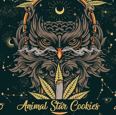 Animal Star Cookies 3.5g Flower