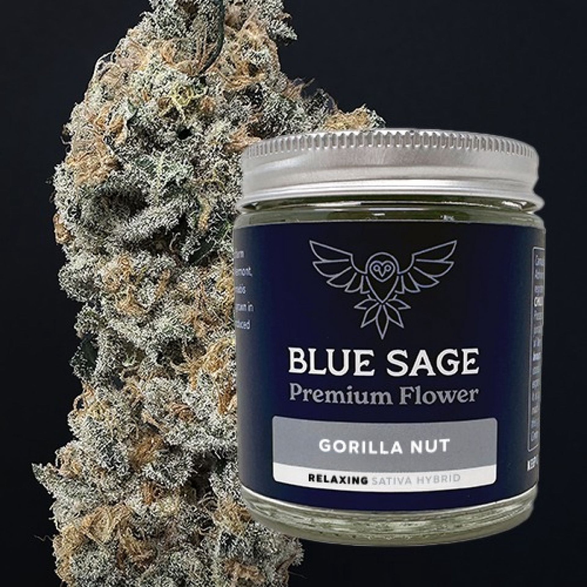 Gorilla Nut 3.5g Premium Flower