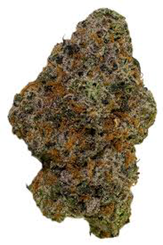 KIND LOVE - CADILLAC RAINBOWS - BULK GOLD TIER BUD