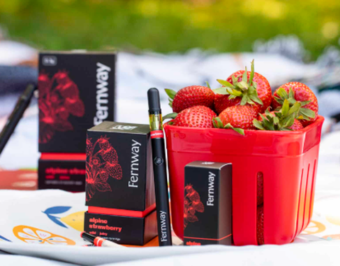 Fernway - Alpine strawberry - 1g - Vape Cartridge