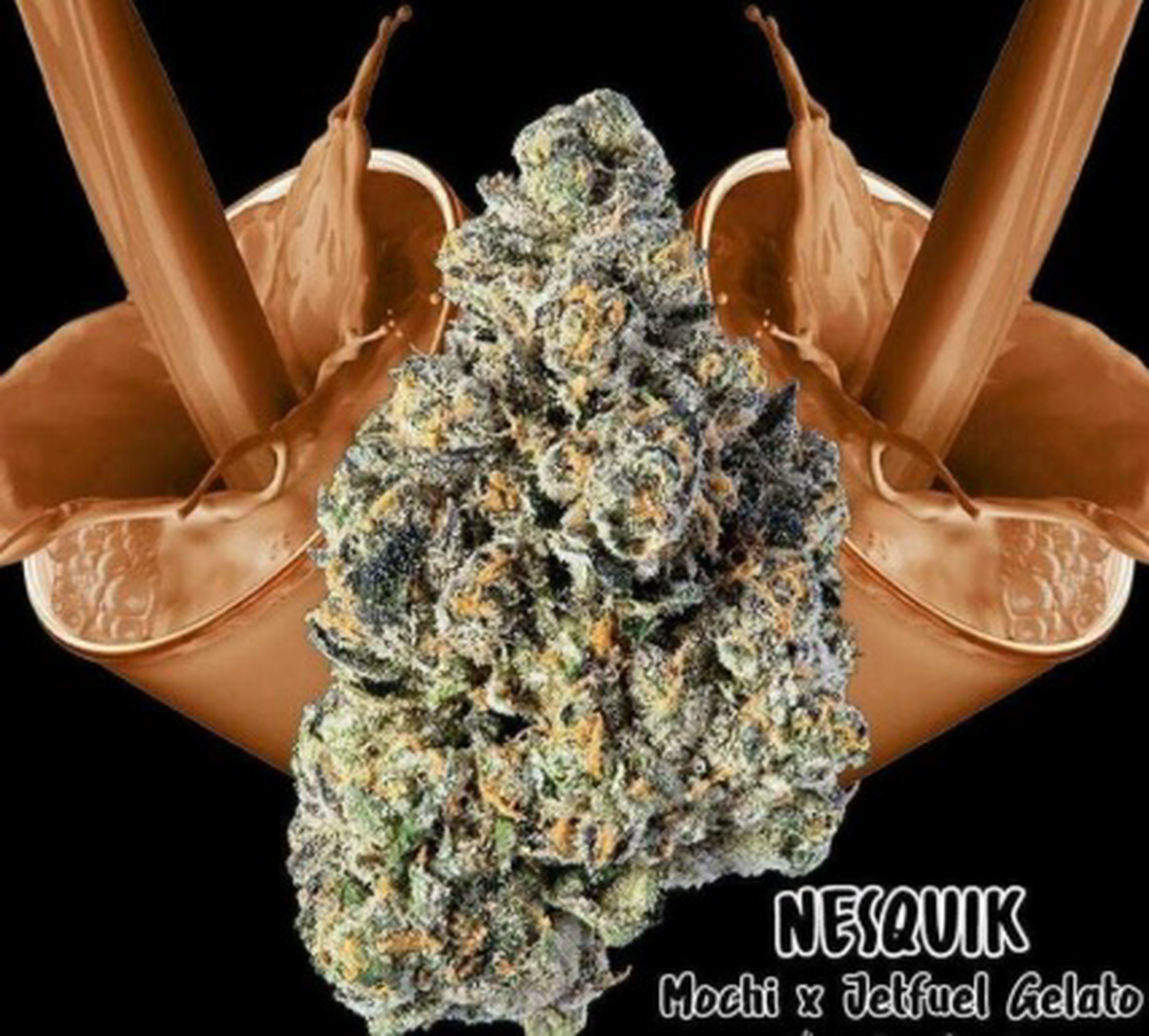 Rotation - Nesquik - Flower