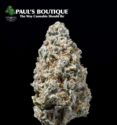 Lotus Blossom 3.5g Flower