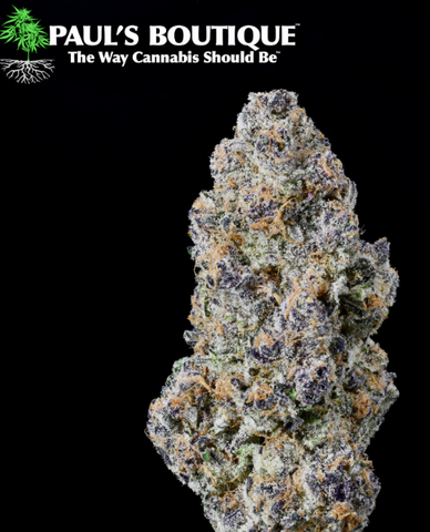 Blockberry - Paul's Boutique - Flower