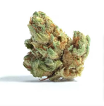Goji - Coastal Roots - Flower - 3.5g