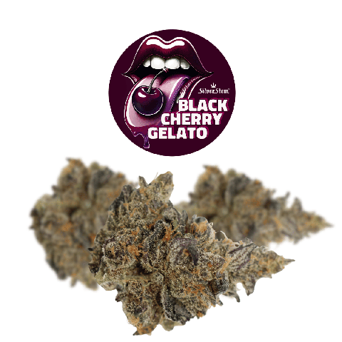 Black Cherry Gelato | Hybrid - | Bulk