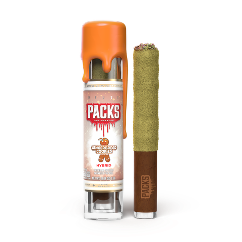 PACKWOODS - 2.5g GINGERBREAD COOKIES INFUSED BLUNT
