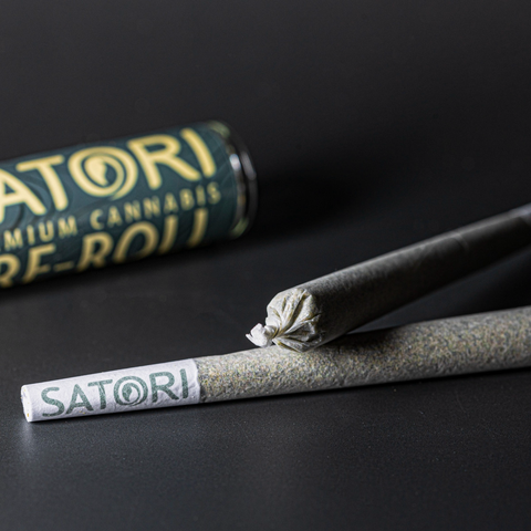 Blue Halo - 1g Preroll