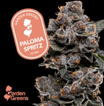 Paloma Spritz 3.5g Flower