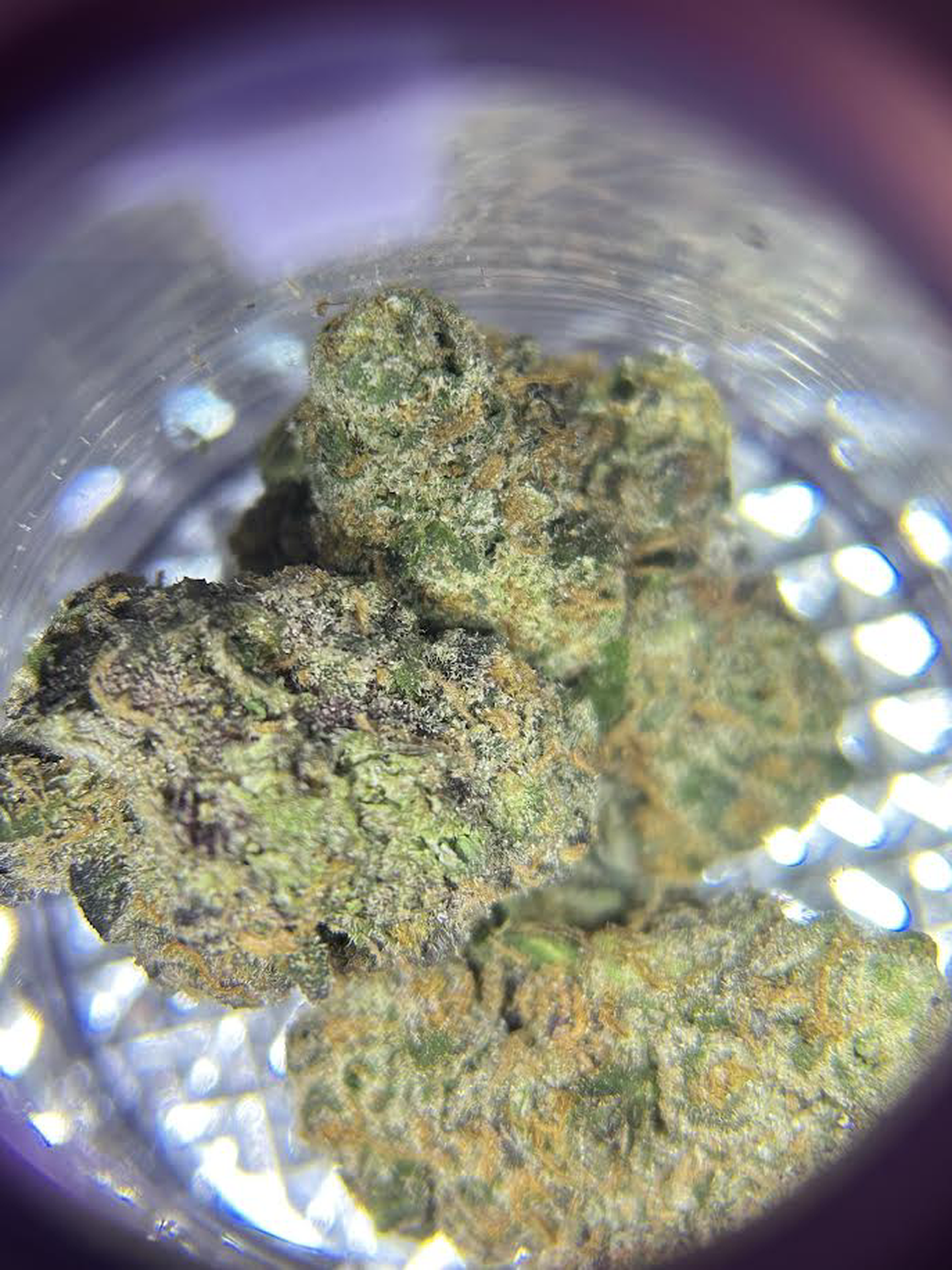 London Marker | Growing Pains | 5.5 ★ - 3.5