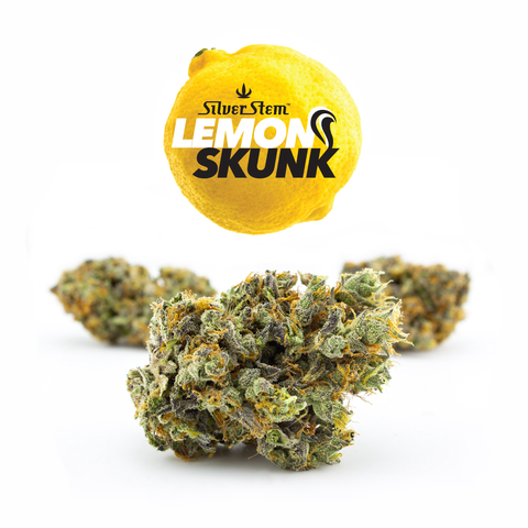 Lemon Skunk | Sativa-Hybrid - | Eighth