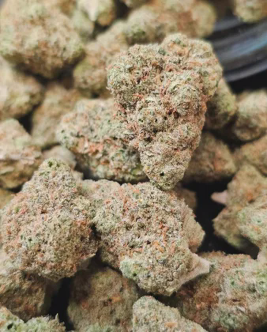 POTCO - SLURRICANE - BULK GOLD TIER BUD