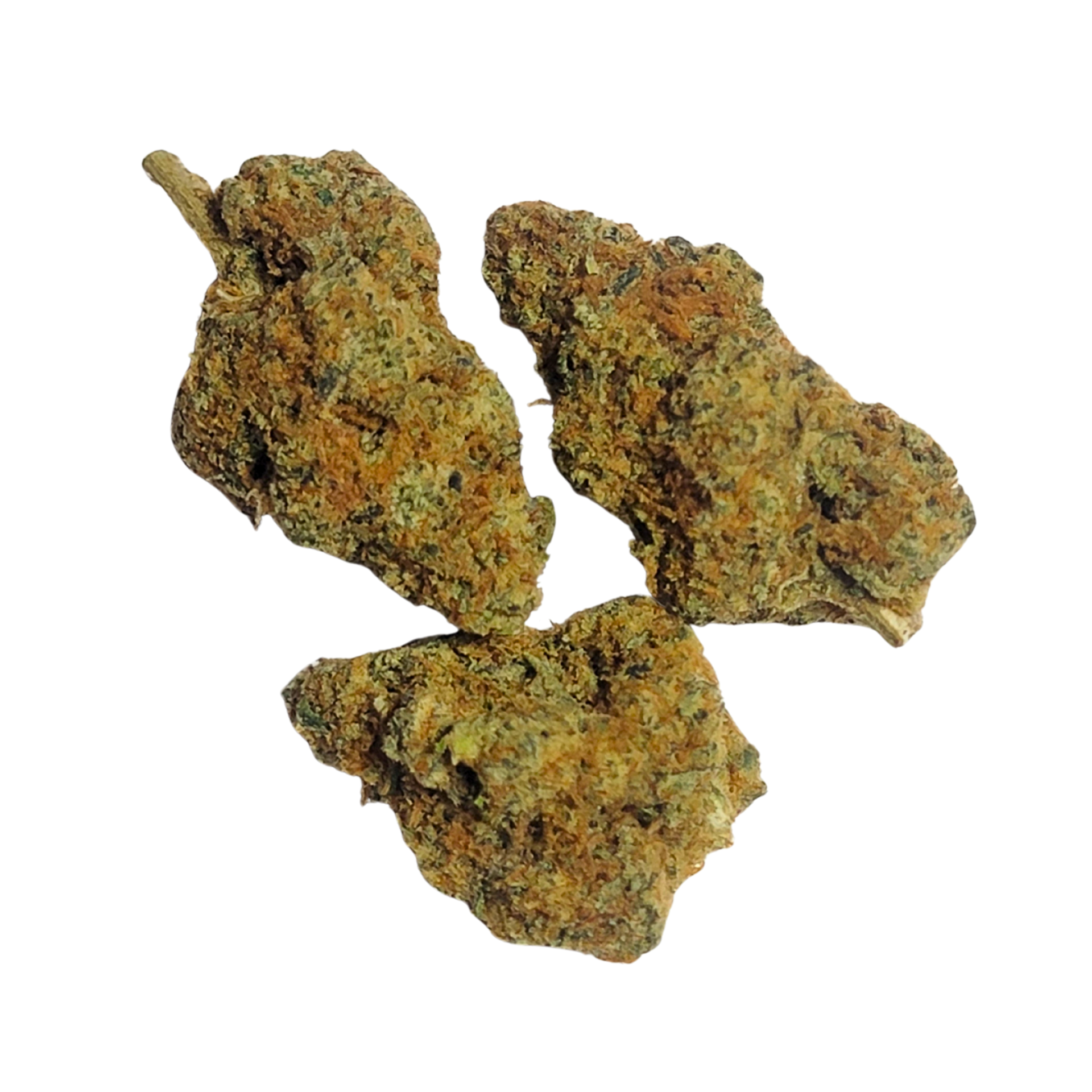 Lit | Buds | - Glueball