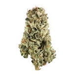Magic City - Oreoz Blizzard - Flower