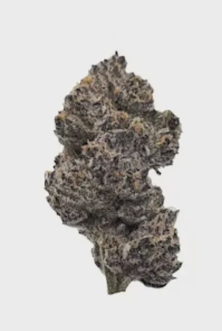 POTCO - CANDY BISCUITS - BULK BRONZE TIER BUD