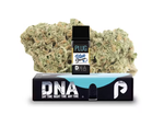 PLUGplay DNA: Blue Dream