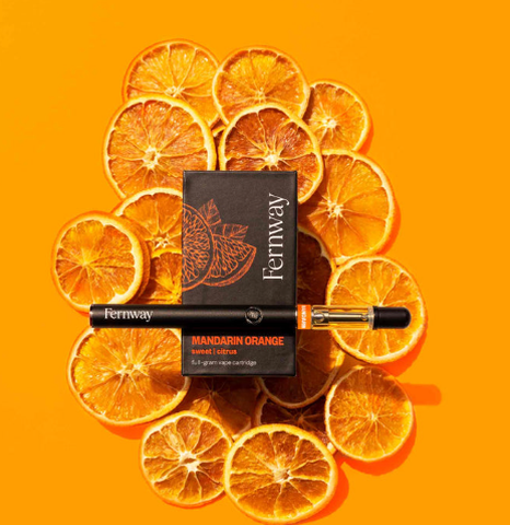Fernway - Mandarin Orange (S) - Disposable Vape - 2g