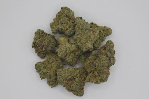 NATTY - ALIEN HAZE - BULK PLATINUM TIER BUD