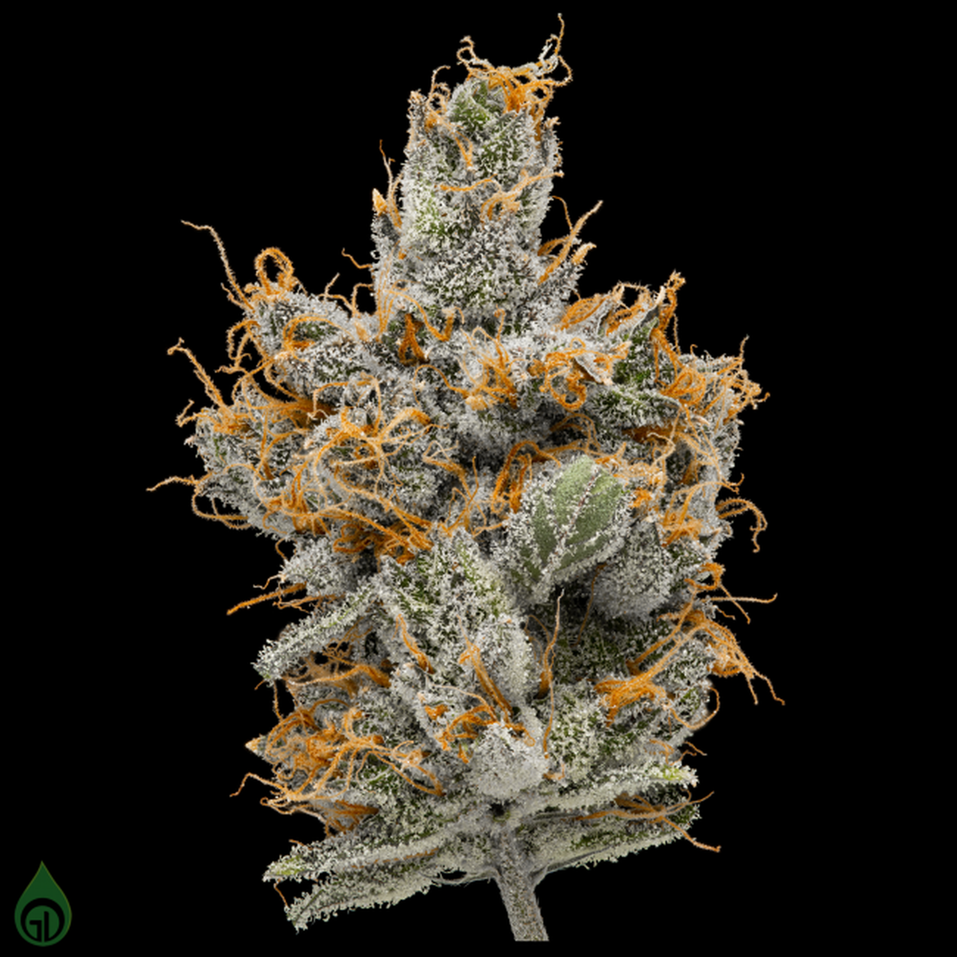 Eighths | Green Dot - | Lemon Butter Rum