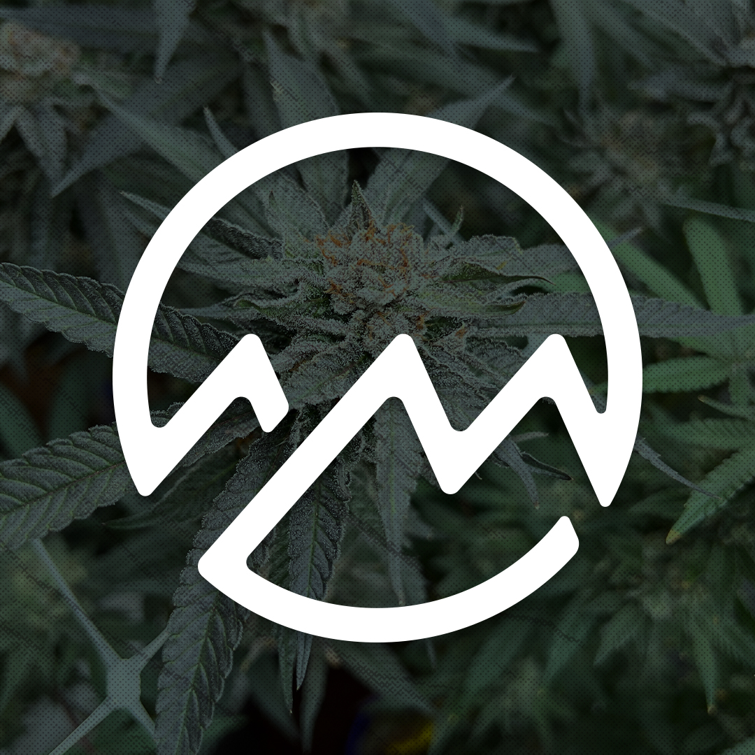 Treasure Chest Flower icon