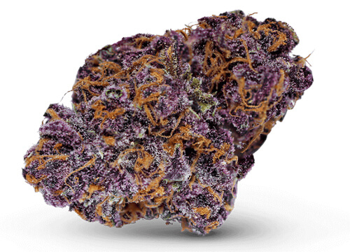 Premium Flower icon