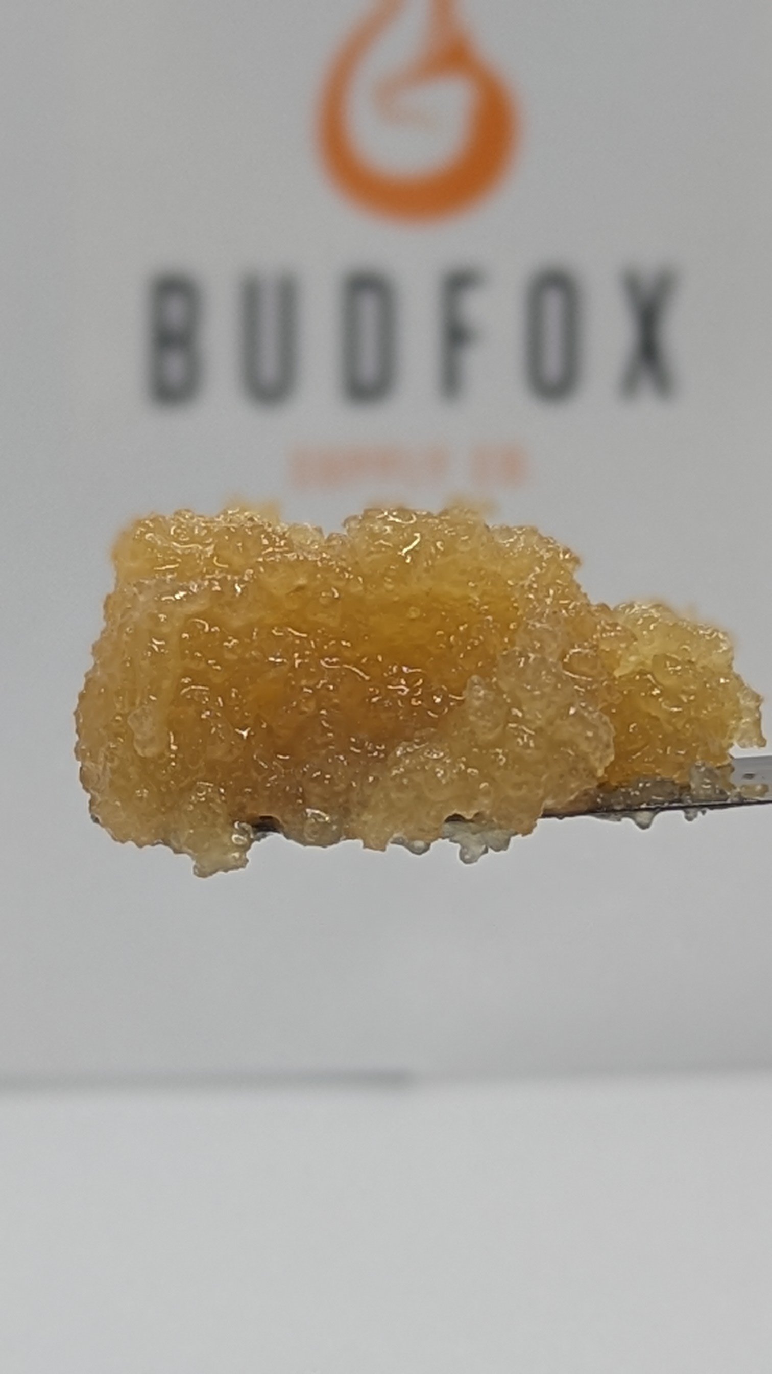 Bud Fox | Picasso Moon 2 | 2g Sugar Wax (S/H)