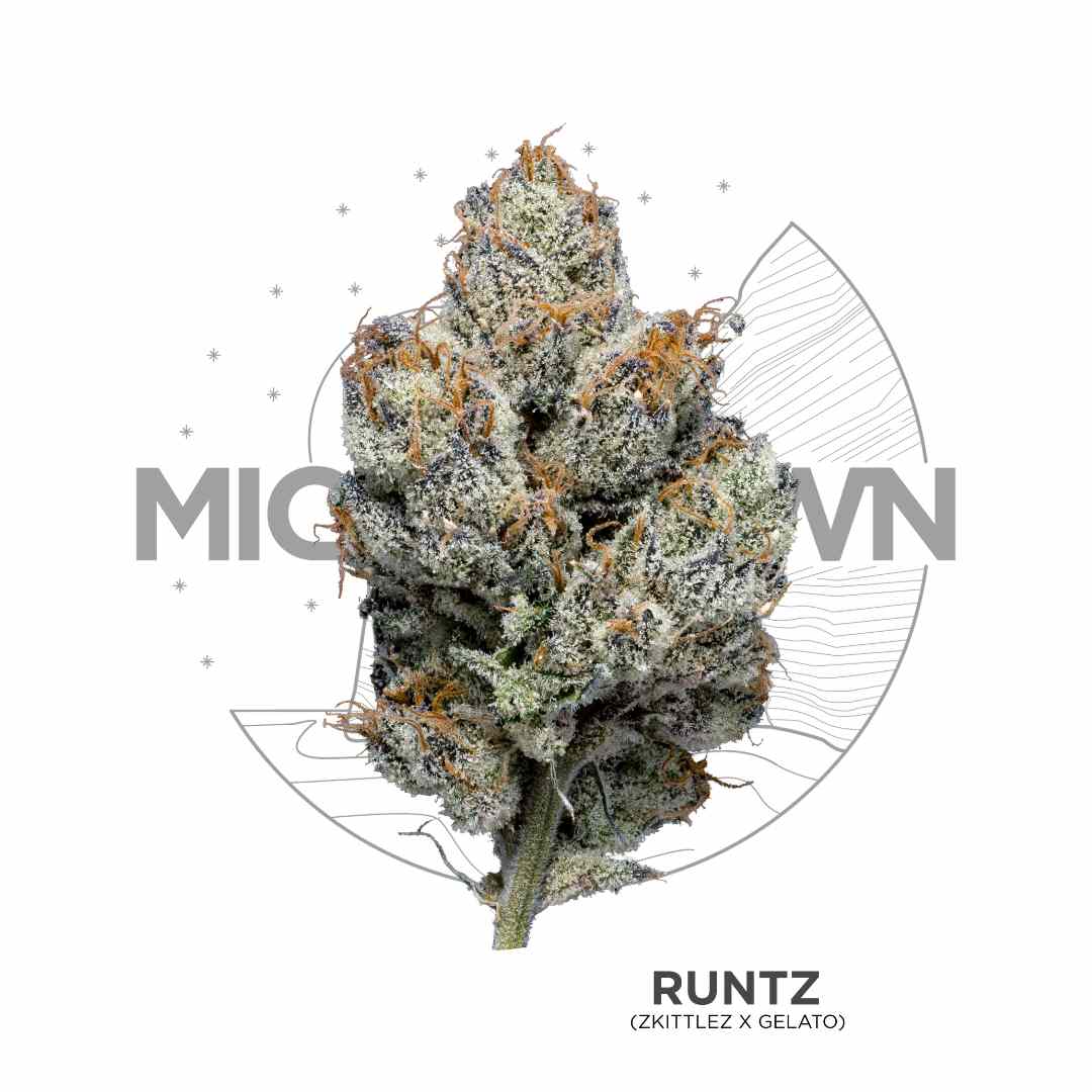 Michigrown - Runtz 3.5g