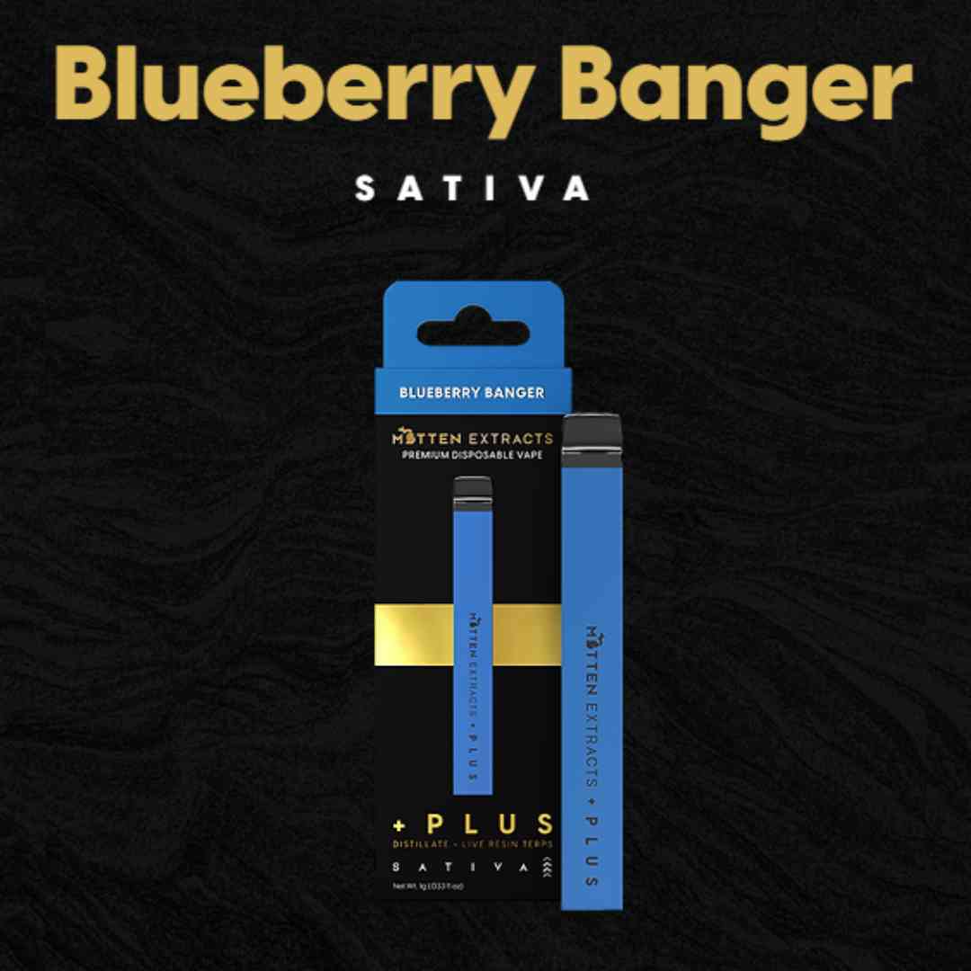 Mitten Extracts - Blueberry Banger Disposable 1g