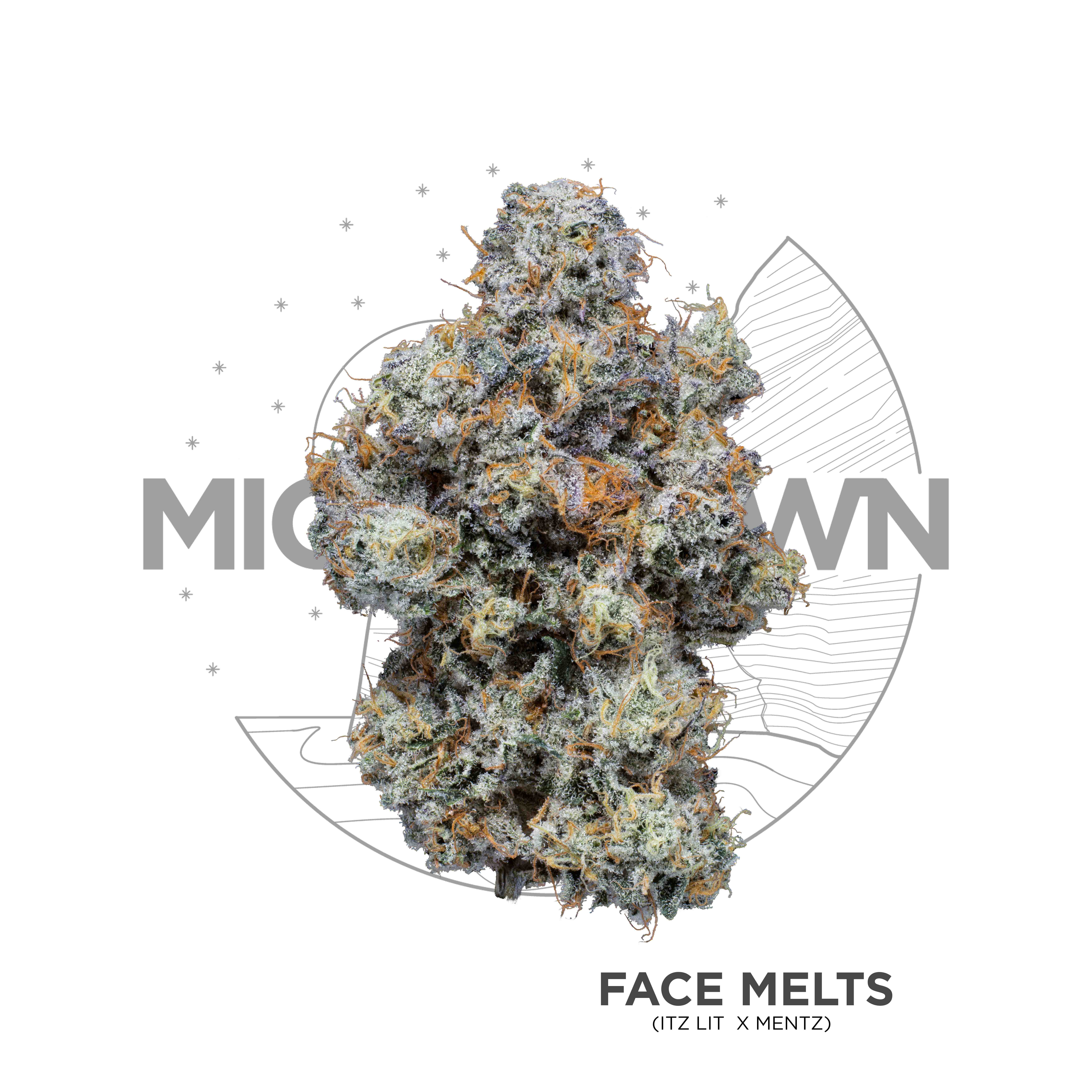 Michigrown - Face Meltz 3.5g
