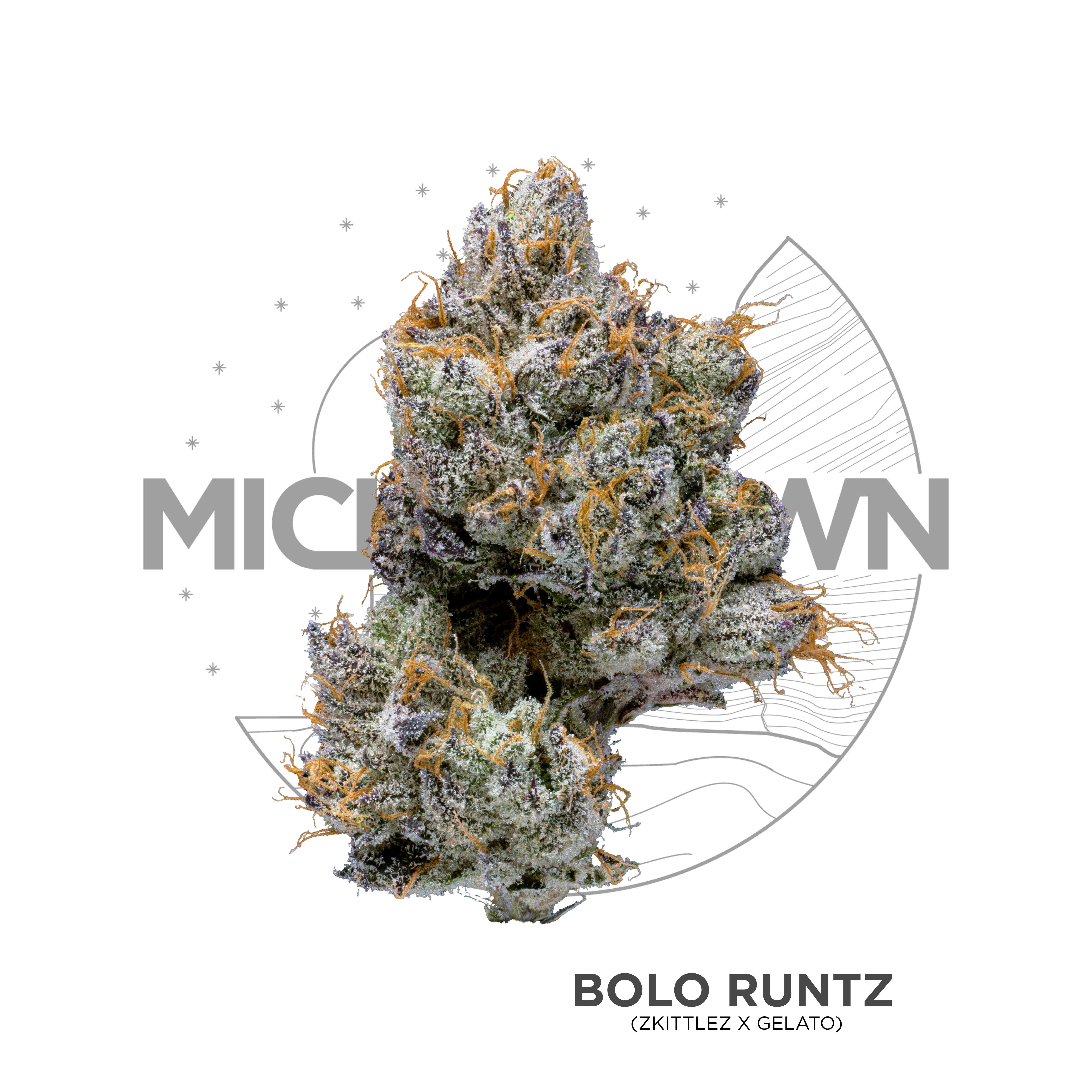 Michigrown - Bolo Runtz 3.5g