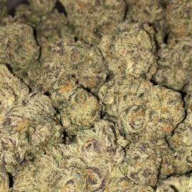 Amaretto Sour (Hotbox Farms)