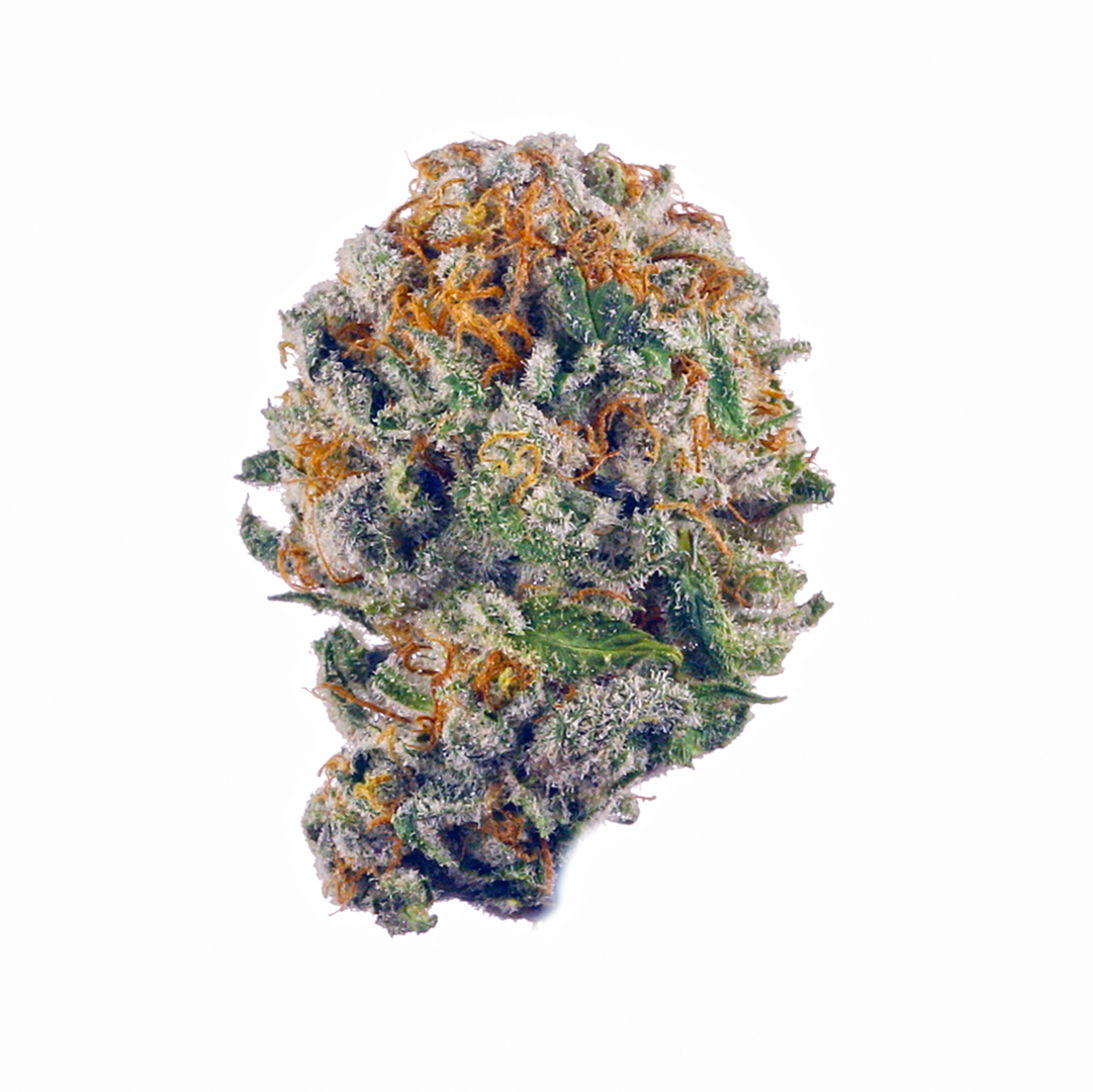 Rainbow Belts - Mystique of Maine - Flower