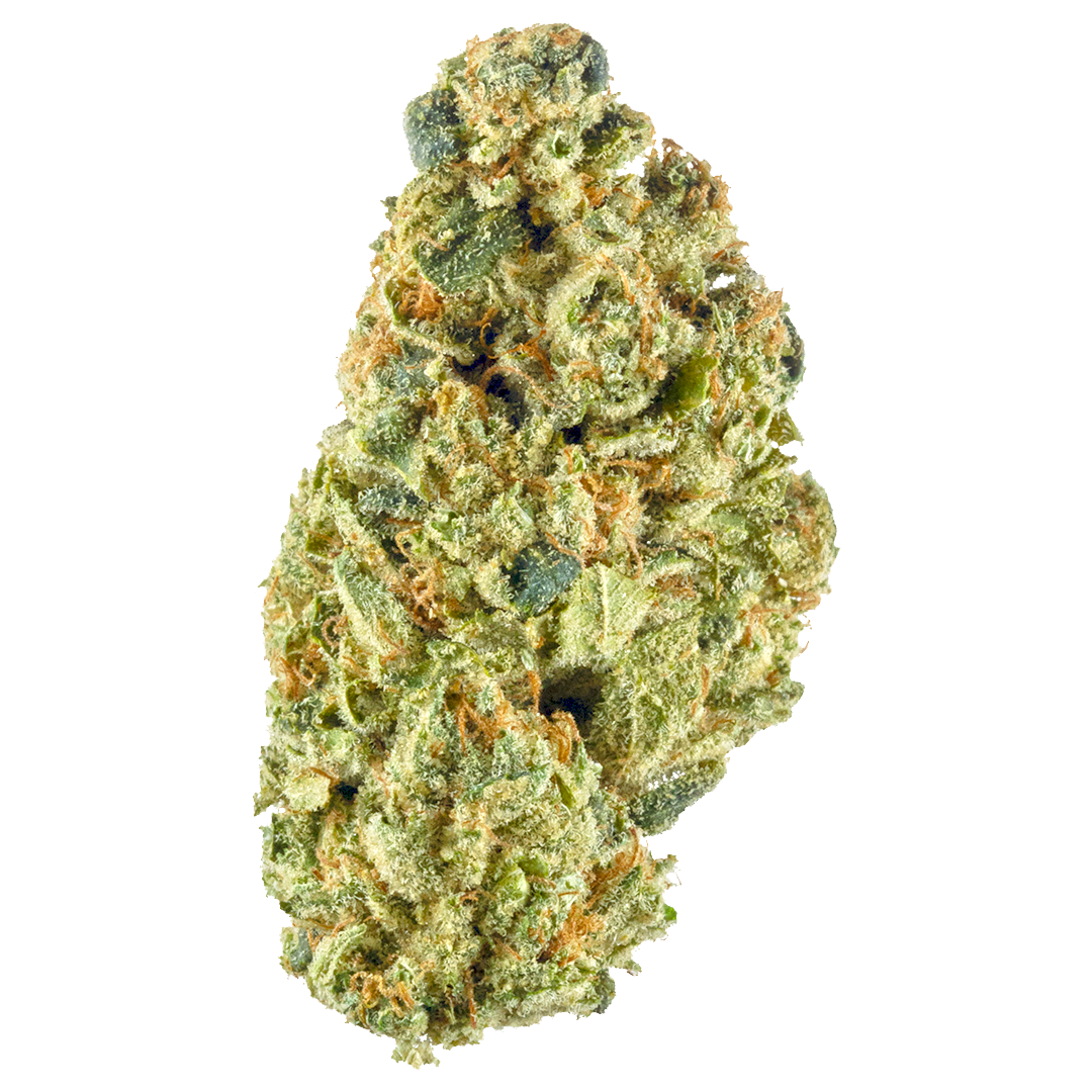 Headband - Mystique of Maine - Flower