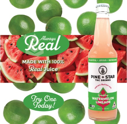 Watermelon Limeade - Pine + Star - Edibles - 10mg