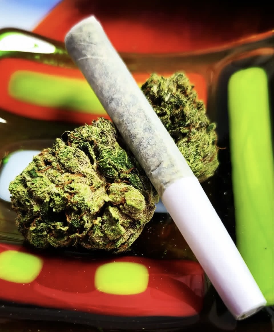 Cam's Candy Koffee - 0.5g - Pre-Roll