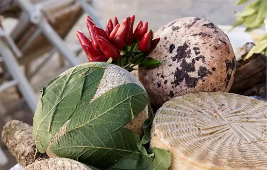 Pecorino