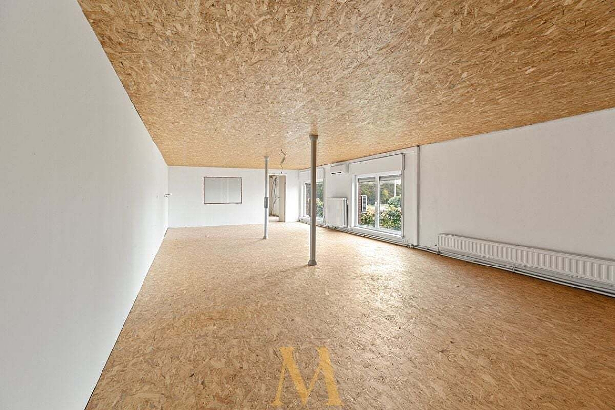 6 019a3594 ecd8 7136 a0d9 166983501e6d