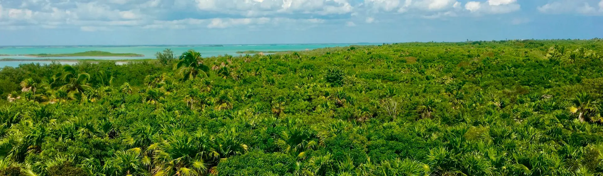 Riviera Maya Lots and Land for Sale Mayan Mansions